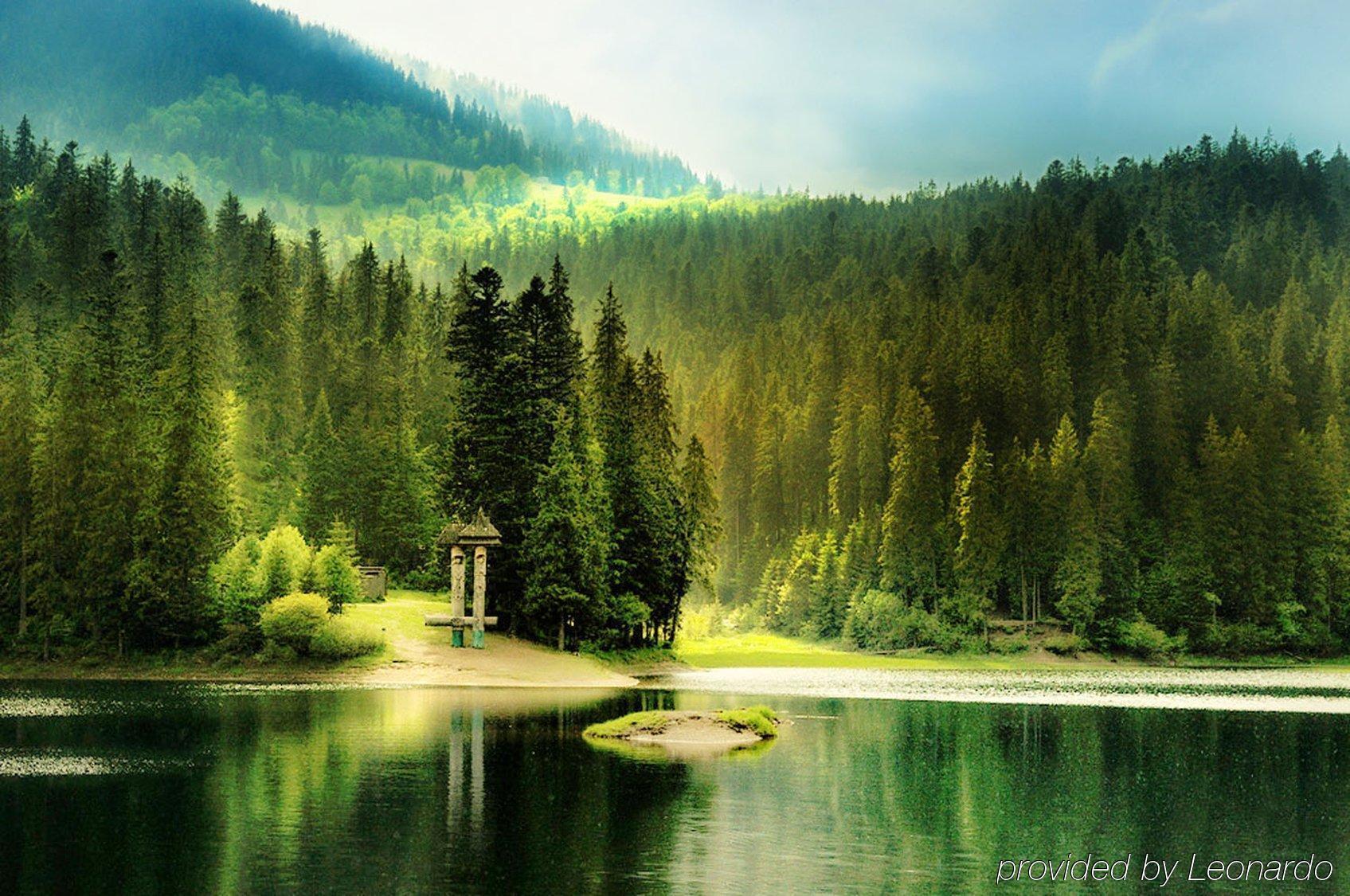 Vitapark Carpaty Zhdeniievo Bagian luar foto